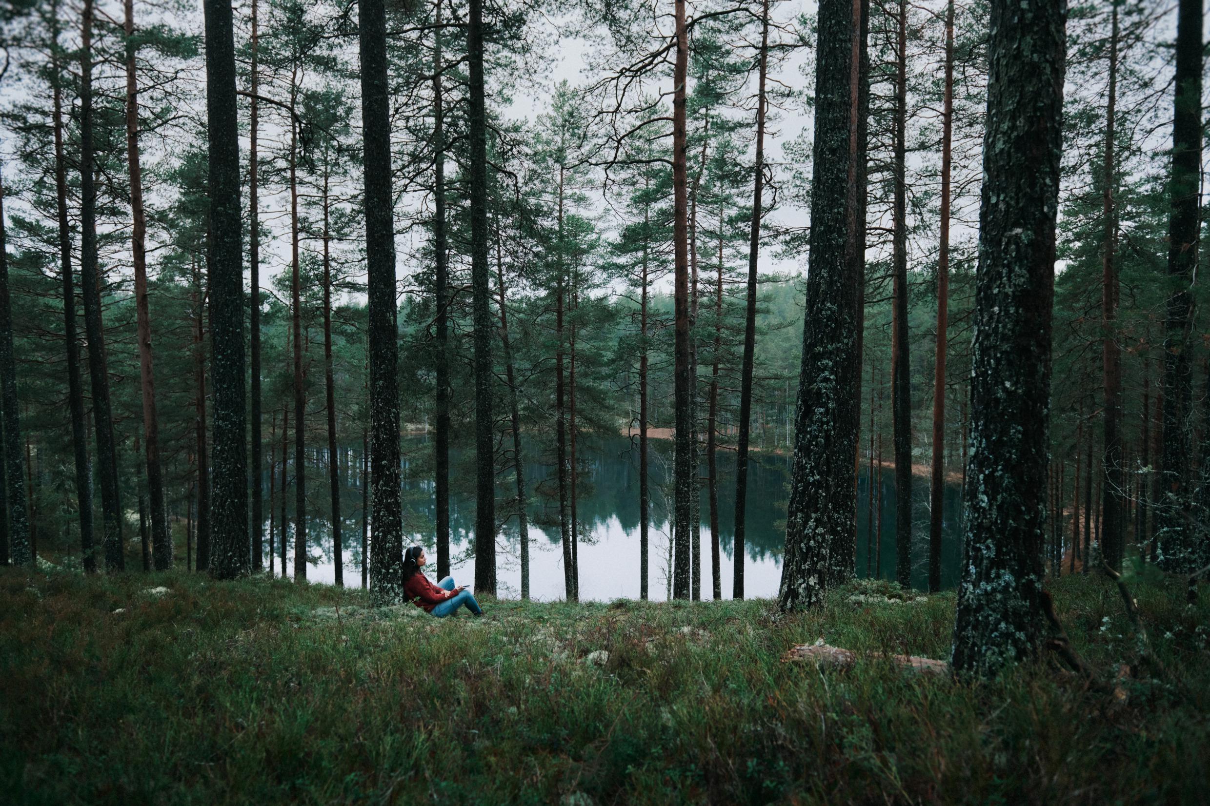 En person omgiven av höga träd sitter lutad mot ett, nära en liten sjö eller damm.