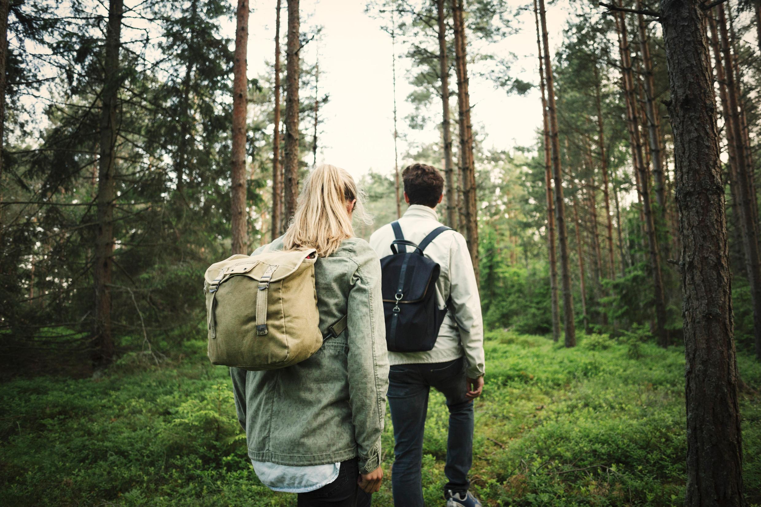Två personer vandrar på en liten stig i skogen, de har varsin ryggsäck på ryggen.